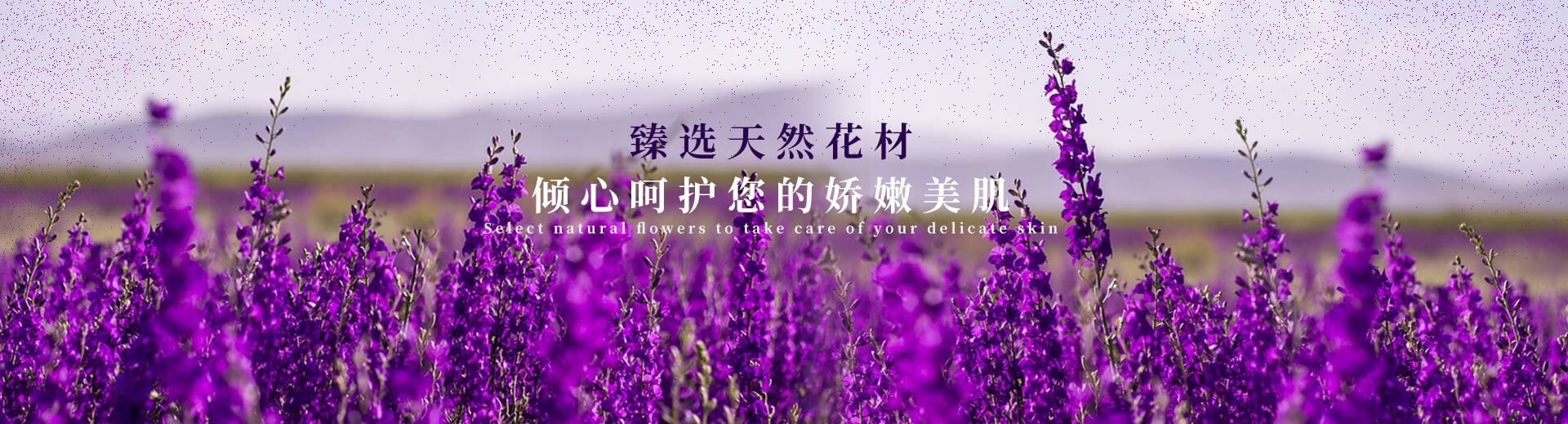 標(biāo)題2